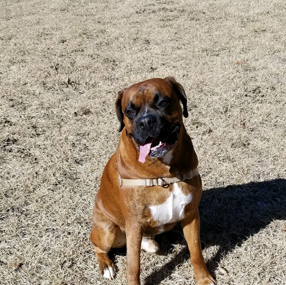 Meet your Posher, Karen